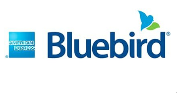 Buy Bluebird bank 2 year aged Account + VCC