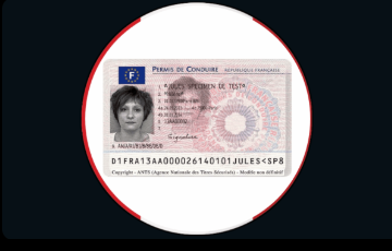Driver License – France